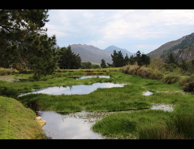 911HA FARM FOR SALE IN RIVERSDALE RURAL